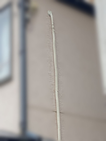 2021414152422.jpg
